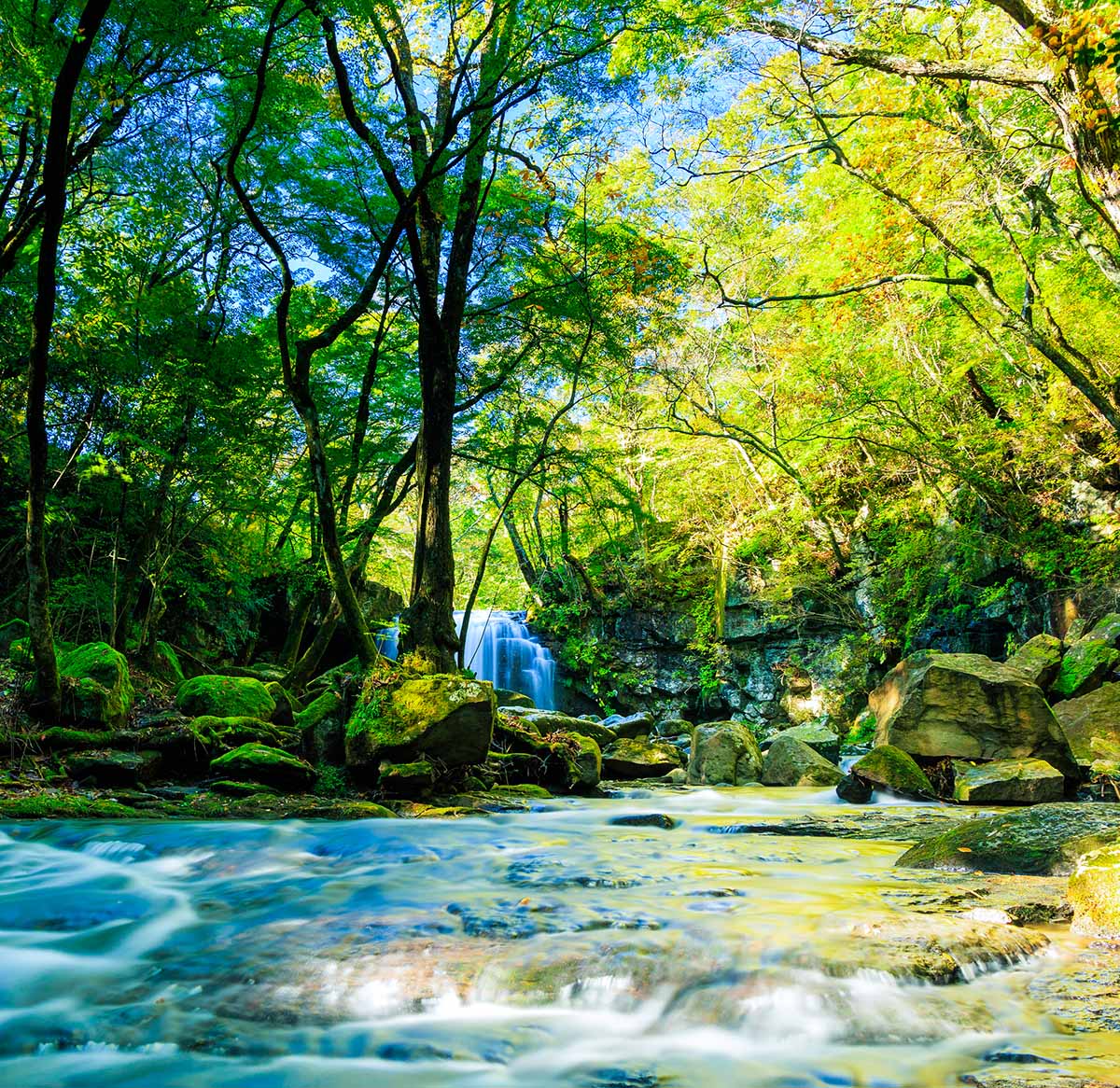 minamioguni_260427_01