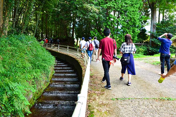 photo_minamiaso-01_003