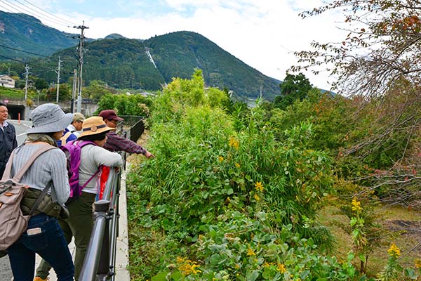 photo_minamiaso-02_001