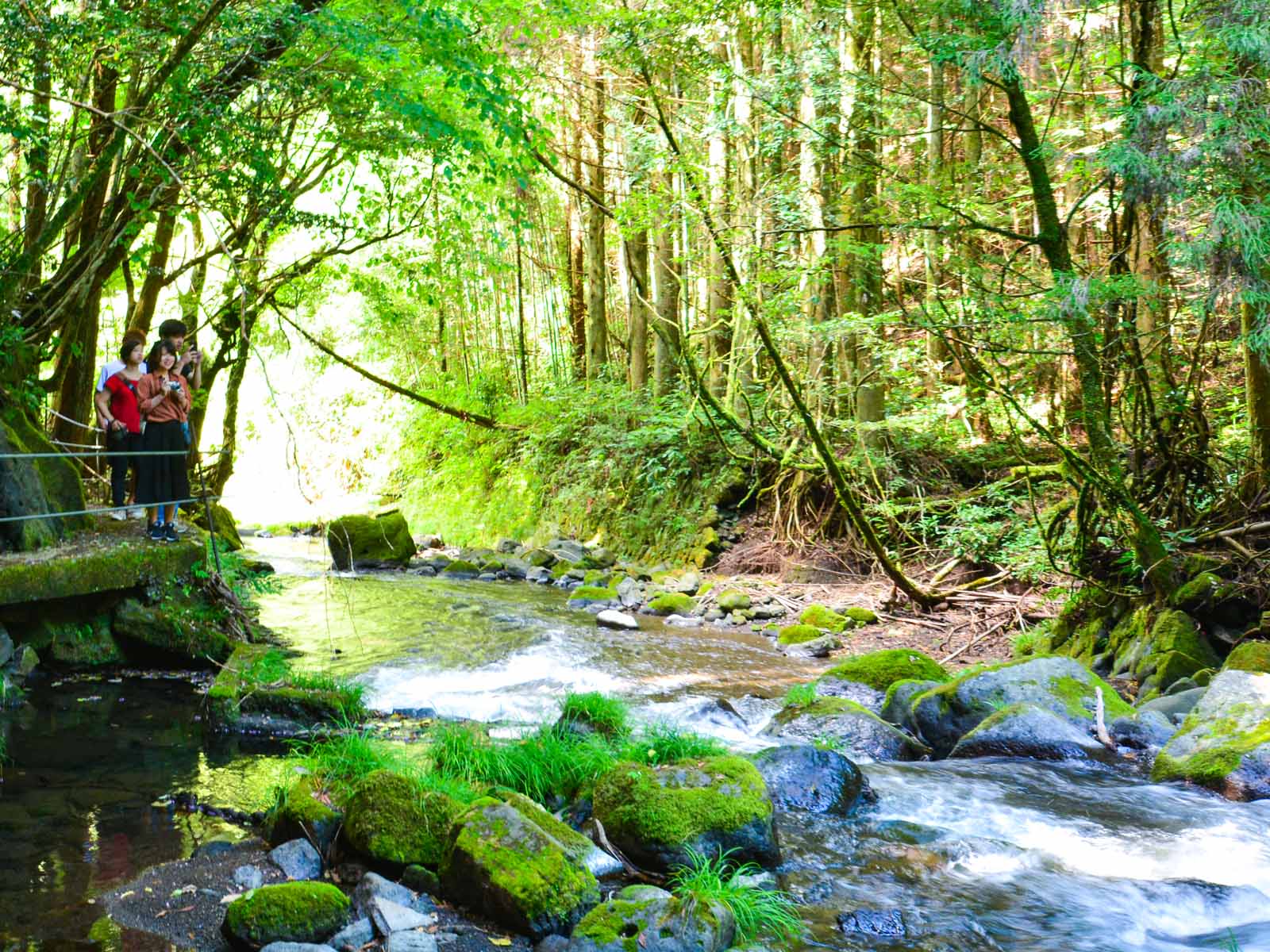 photo_minamioguni-02_01