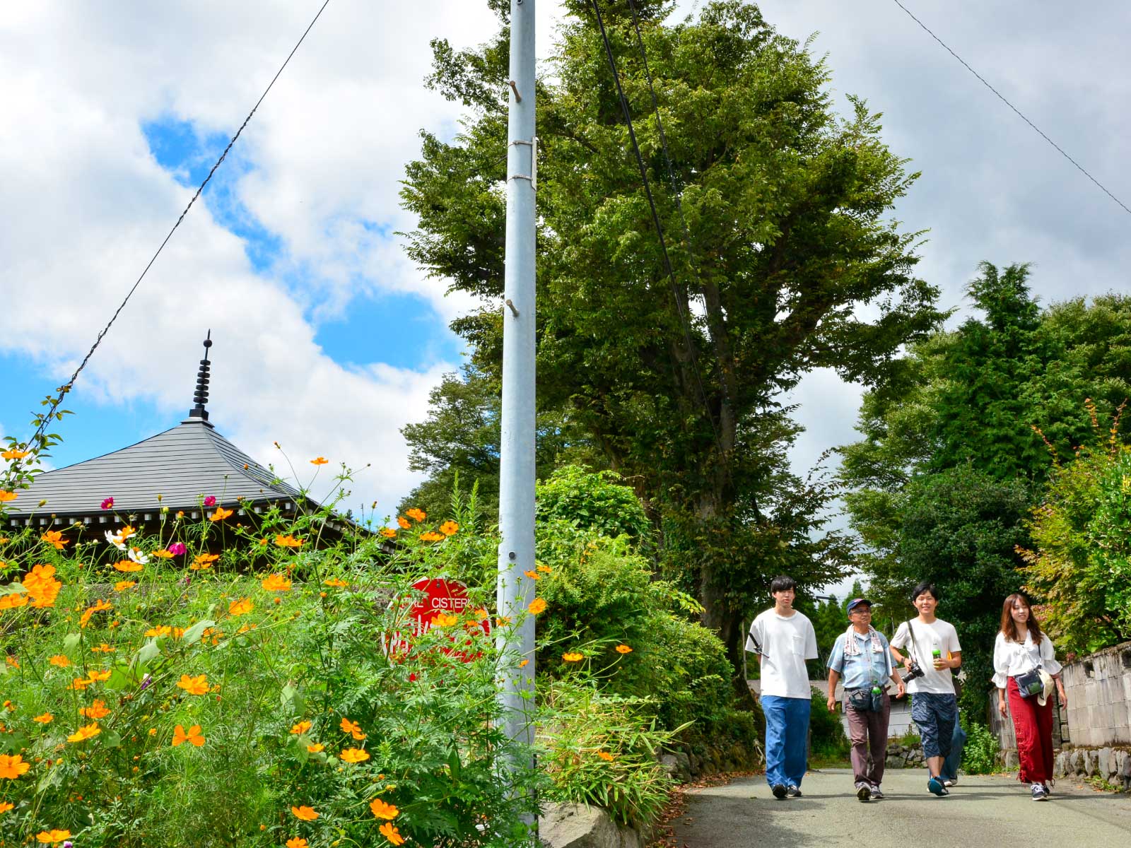 photo_takamori-01_01